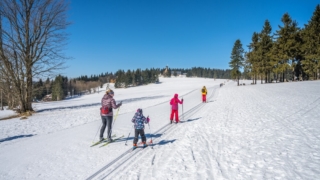 family cross country skiing in New York